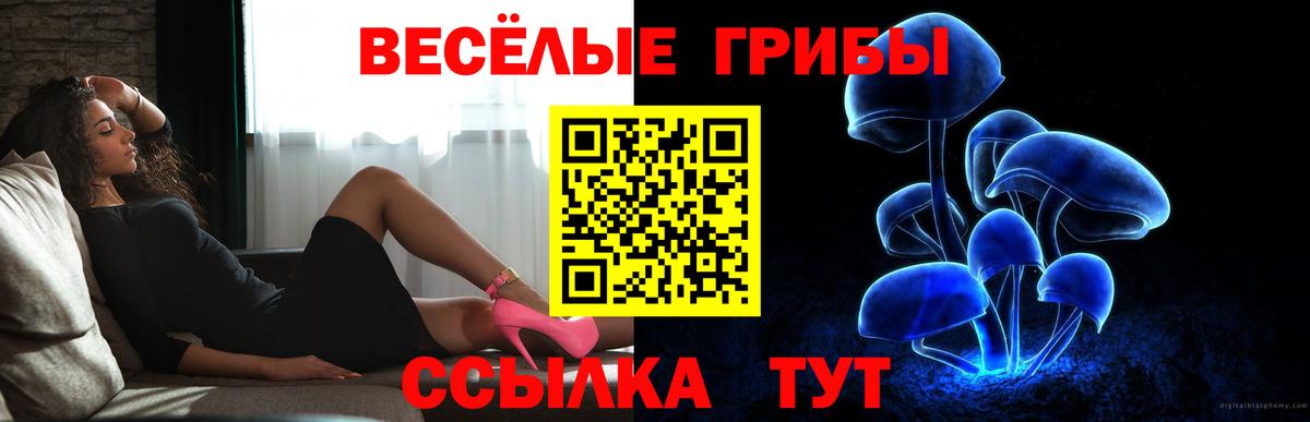 закладка  Вход с VPN  Кувандык  Псилоцибиновые грибы Cubensis 