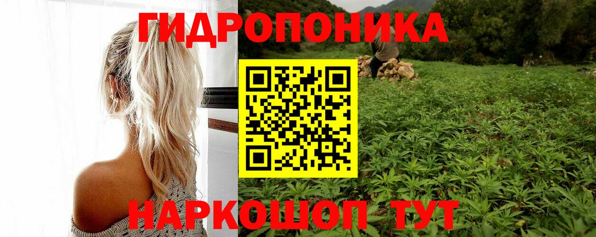 Бошки марихуана семена  Вход с VPN  Марихуана план  Кувандык 